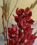 Maroon orchids rise alongside blackbeard corn and pussy willow